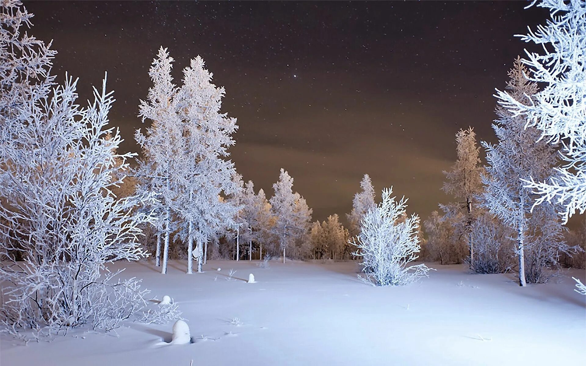 Снег живет предложение. Зимняя природа. Зимний вечер. Зимний лес вечером. Зимний ночной пейзаж.