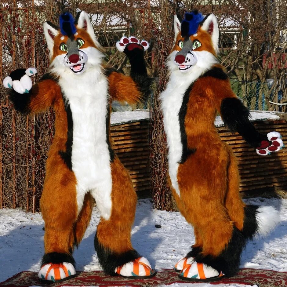 Classic fox. Классика лиса. Виды фурсьютов лиса. Fursuit Fritz Fox. Фурсьют тянки лиса купить.