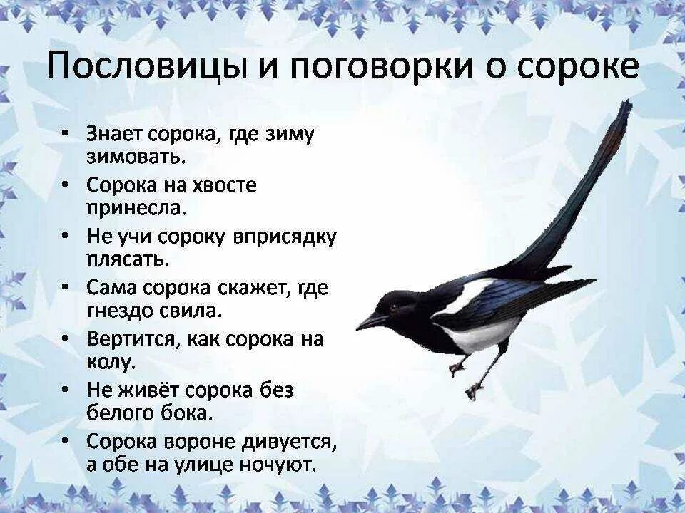 Скороговорки про ворон. Пословицы о зимующих птицах. Пословицы о птицах для детей. Пословицы про зимующих птиц для детей. Стихи и загадки о птицах.