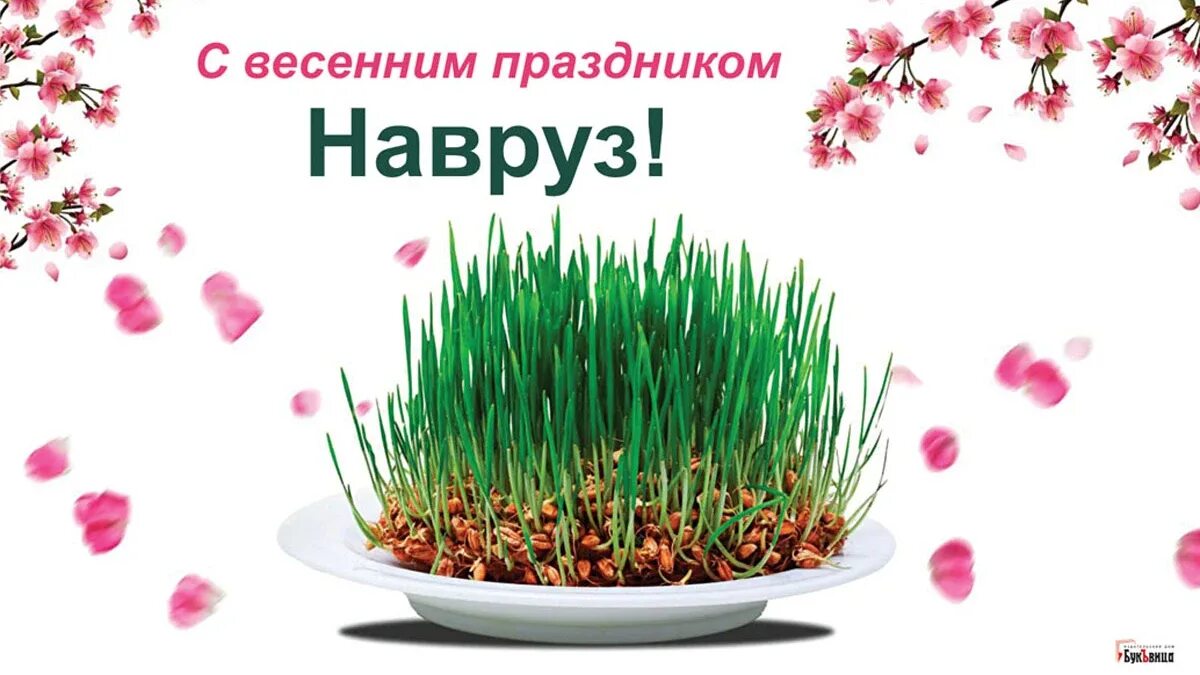 Навруз праздник весны поздравления. 21 Март с праздником Навруз. Открытки с праздником Навруз.