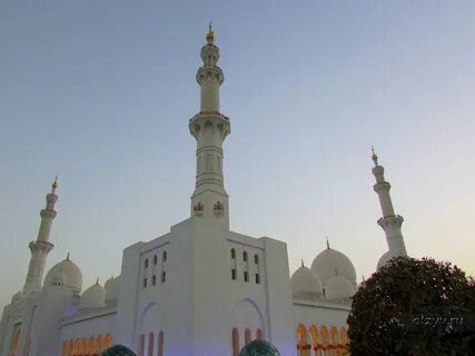 Экскурсии из шарджи в абу даби