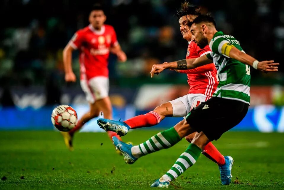 Бенфика Спортинг. Рамуш Бенфика. Sporting Lisbon Benfica.