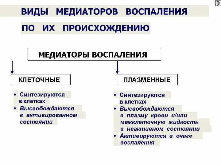 Клеточные медиаторы воспаления. Основные эффекты медиаторов воспаления. Клеточные и плазменные медиаторы воспаления. Классификация медиаторов воспаления. Основные эффекты медиаторов воспаления таблица.