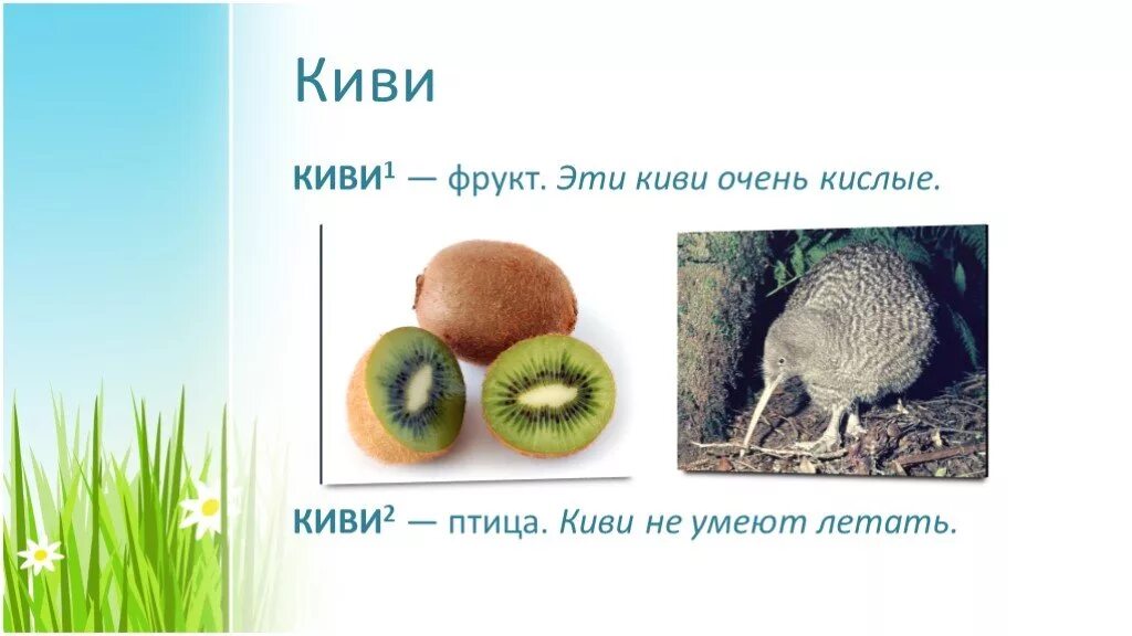Род киви в русском. Загадка про киви. Киви омонимы. Киви птица фрукт. Стихотворение про киви для детей.