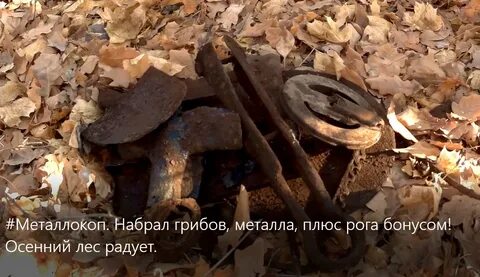Все из за металлокопа дзен новое видео