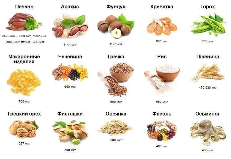 Диетология. Медь в продуктах питания (Кучин Владимир) / Проза.ру