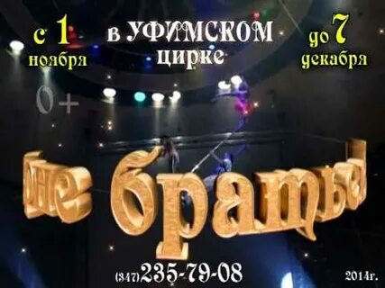 Цирк 5 ноября