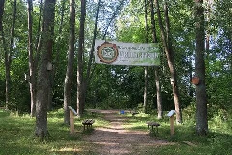 Экотропа школа жизни