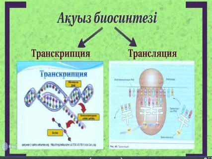 Биология казакша