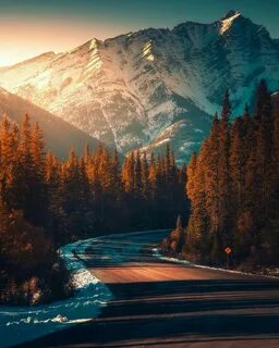 My landscape