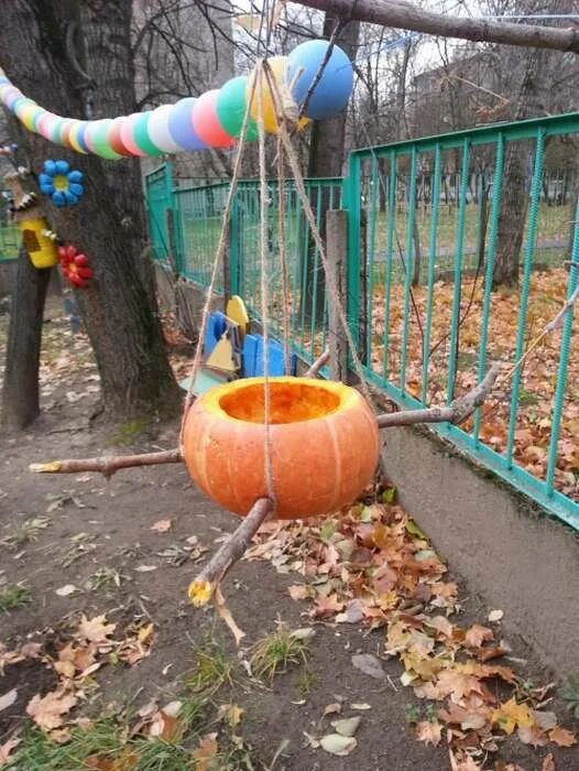 Кормушка для птиц из тыквы своими руками. Кормушка из тыквы. кормушка для птиц тыква. кормушка из тыквы для птиц своими руками. съедобная кормушка из тыквы.