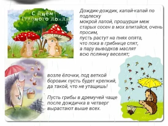 День грибного дождя 6. Грибной дождь прикол. День грибного дождя. День грибного дождика. Грибной лес.