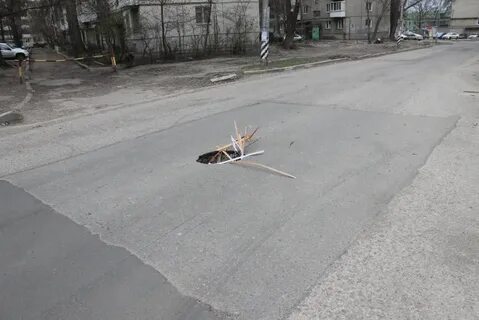 Ул дорожная 19