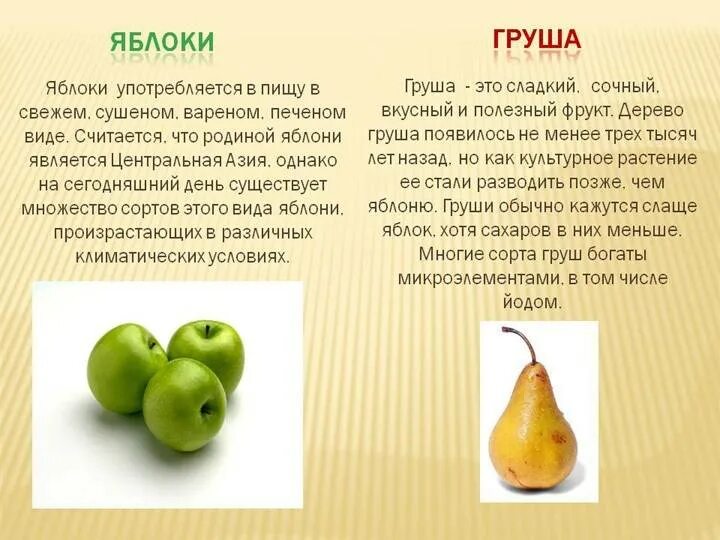 Текст каких только фруктовых деревьев. Груша описание для детей. Описание фруктов для детей. Витамин яблоко груша. Сообщение о груше.