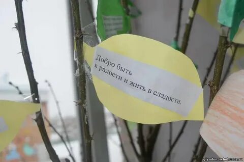 Акция дерево желаний