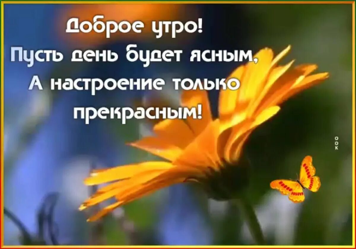 Мудрое утро картинки. Мудрые пожелания с добрым утром. Открытки с добрым утром Мудрые. Мудрые высказывания с добрым утром. Доброго ясного утра Мудрые высказывания.