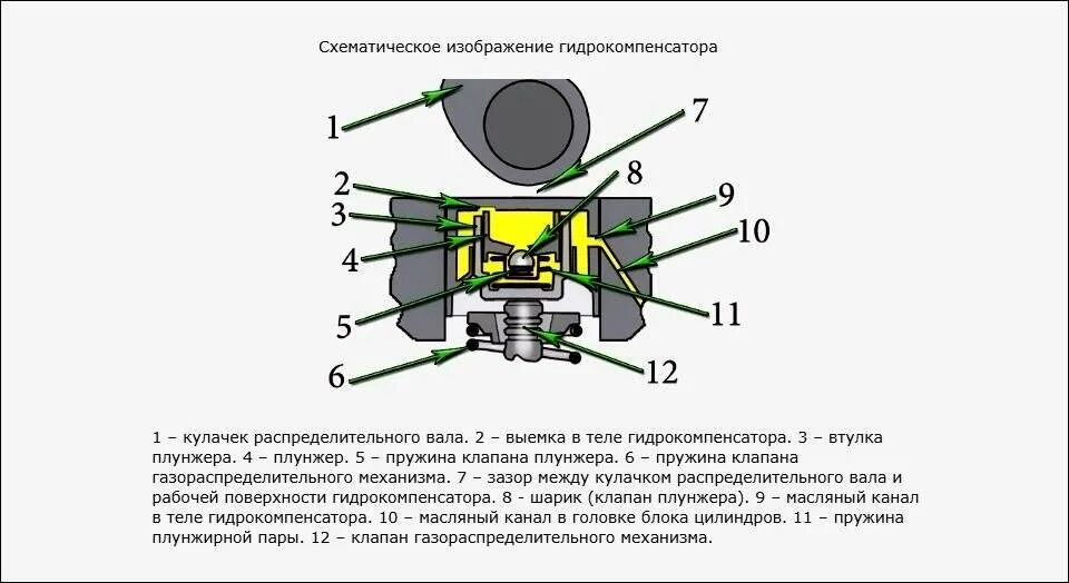 Почему стучит гидрокомпенсатор на горячую. Гидрокомпенсатор принцип работы. гидрокомпенсаторы устройство и принцип работы. устройство гидрокомпенсатора схема. устройство гидрокомпенсатора змз 406.