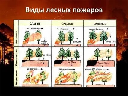 Тест виды пожаров