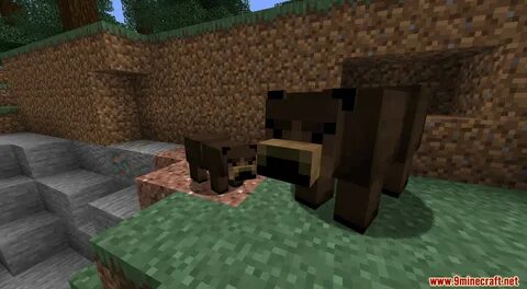Майнкрафт мод bear