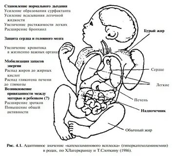 Тяжести состояния новорожденного