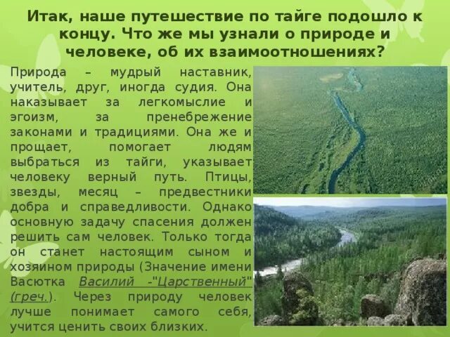 Сочинение путешествие в тайгу. Путешествие по тайге. Тайга путешествие. Сочинение по теме Тайга. Человек и природа васюткино озеро 5 класс