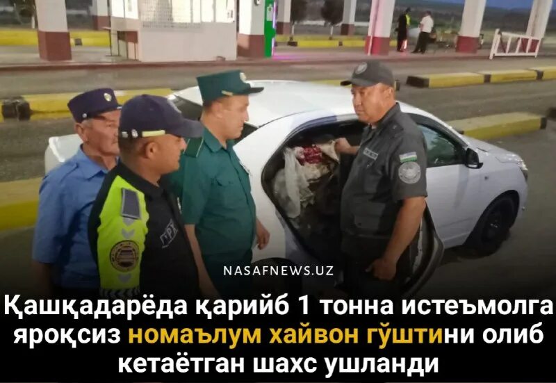 солшумори. толеънома 2021. имсол соли кадом хайвон 2024. мучал таквими. соли 2022 соли.