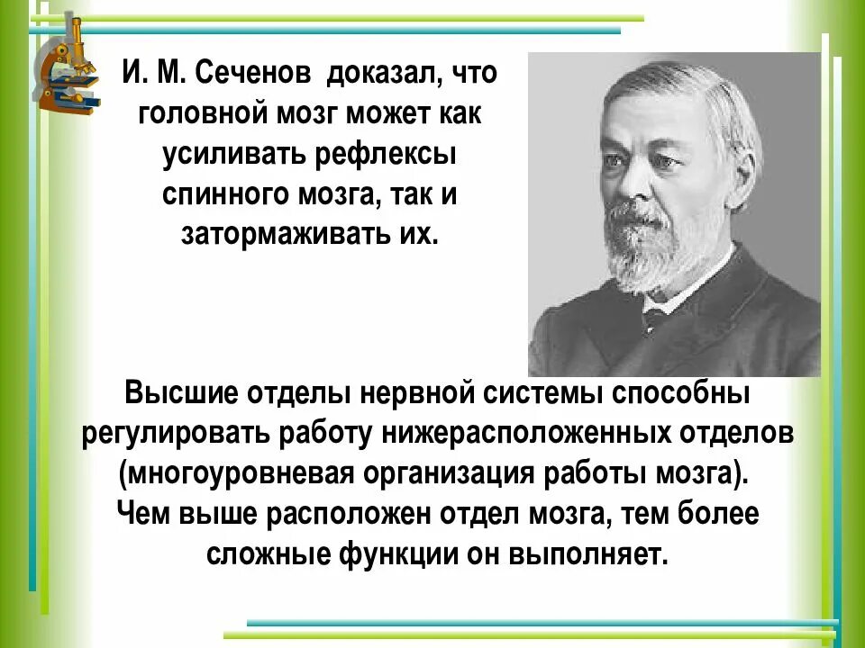 Сообщение вклад отечественных ученых. «вклад и. м. сеченова в изучение высшей нервной деятельности. учение павлова и сеченова. вклад сеченова и павлова в развитие учения о внд. сеченов и павлов учение о высшей нервной деятельности.