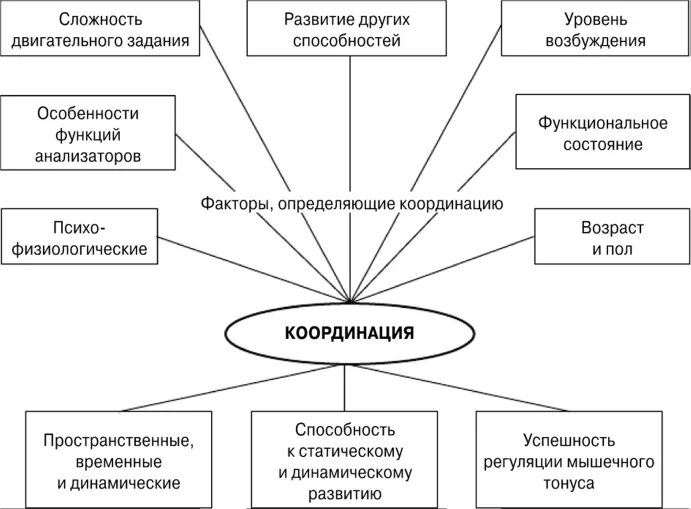 координация движений отдел мозга. координация движения какой отдел. афферентные пути мозжечка схема. координация движений мышц. двигательные функции мозжечка.