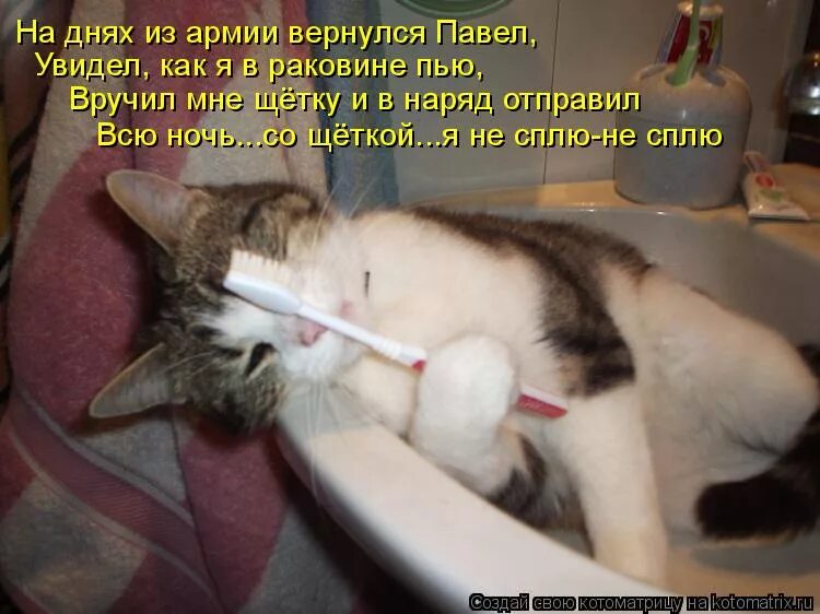 шутки про кровать. давай сначала. понедельник юмор. потом разбудишь. разбудить медведя и бежать задыхаясь.