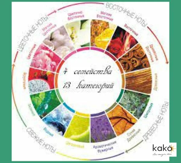Классификация ароматов майкла эдвардса. Классификация духов. Круг ароматов майкла эдвардса. Семейства духов. Семейства духов.