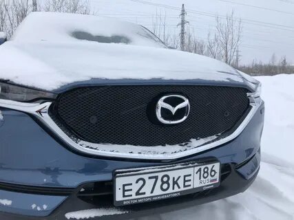 Утеплитель решетки радиатора зимние