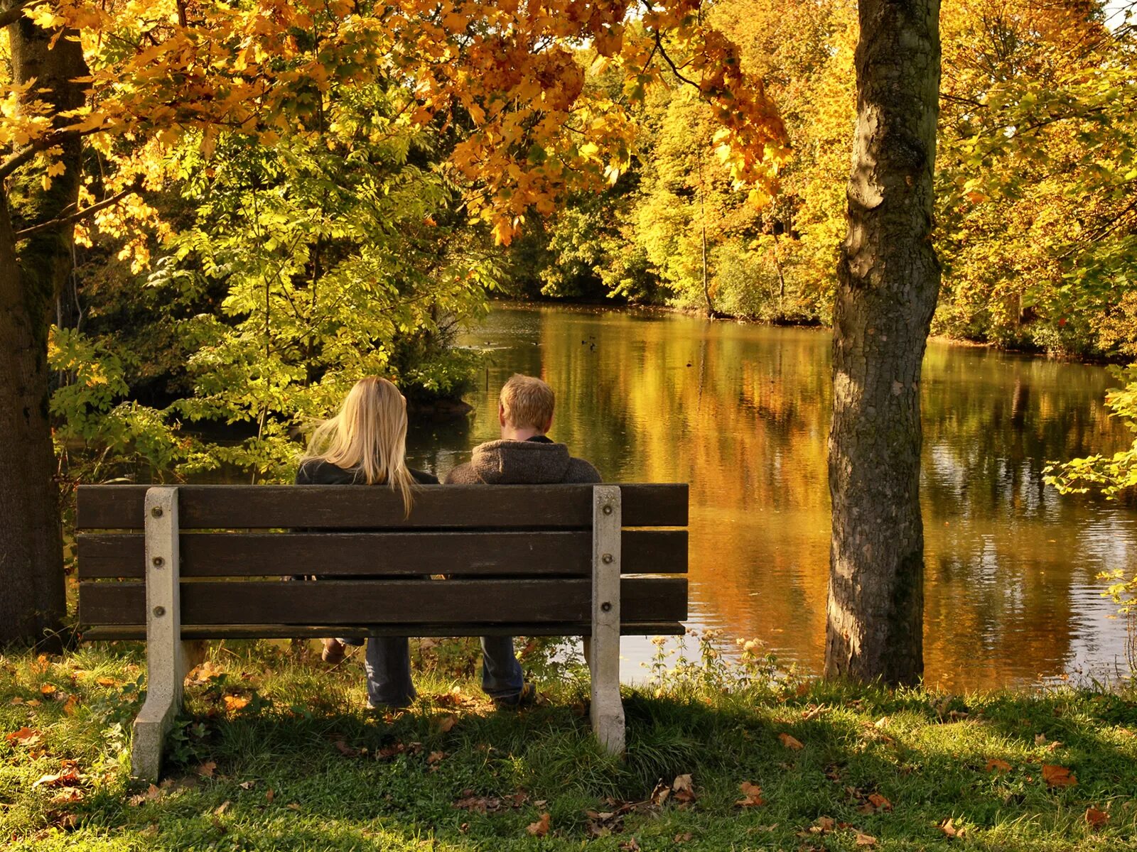Под одним из кленов стояла ветхая скамья. Прогулка в осеннем парке. Под одним из кленов стояла ветхая скамья. Скамейка парковая 19 век. Осенние клены в деревне.