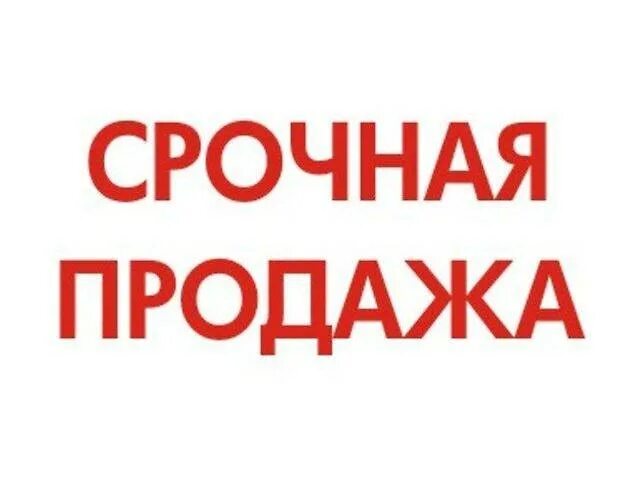 Табличка продается срочно. Надпись продается. Сайт срочных продаж. Срочный выкуп квартир. Продам квартиру картинка.