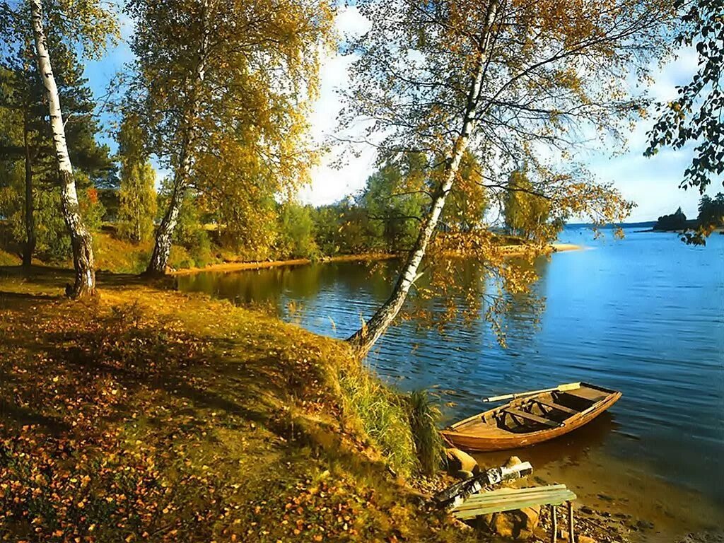 Березы у озера. Речной пейзаж. Береза на берегу реки. Березы река лодка. Березовая лодка