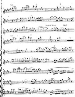 Самая темная нота нелиа аларкон читать. Темный лес книга. Нелиа. Самая темная нота нелиа аларкон читать. Самая темная нота нелиа аларкон читать.