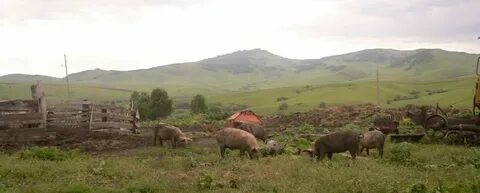 Погода в алтайском крае колово