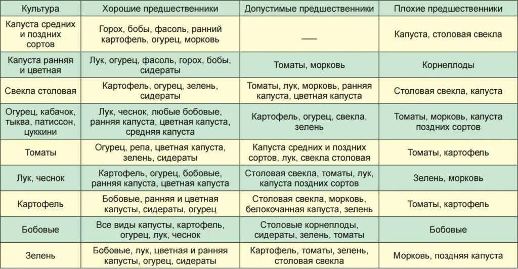 После каких культур можно сажать капусту. Посадка овощей предшественники таблица. Таблица севооборота овощных культур на огороде предшественники. Таблица севооборота овощных культур на огороде что после чего сажать. Лучшие предшественники для посадки овощей таблица.