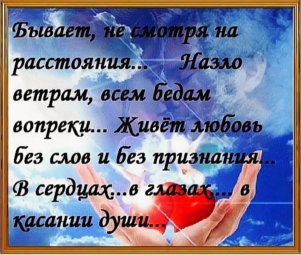 Краткое содержание всем ветрам назло