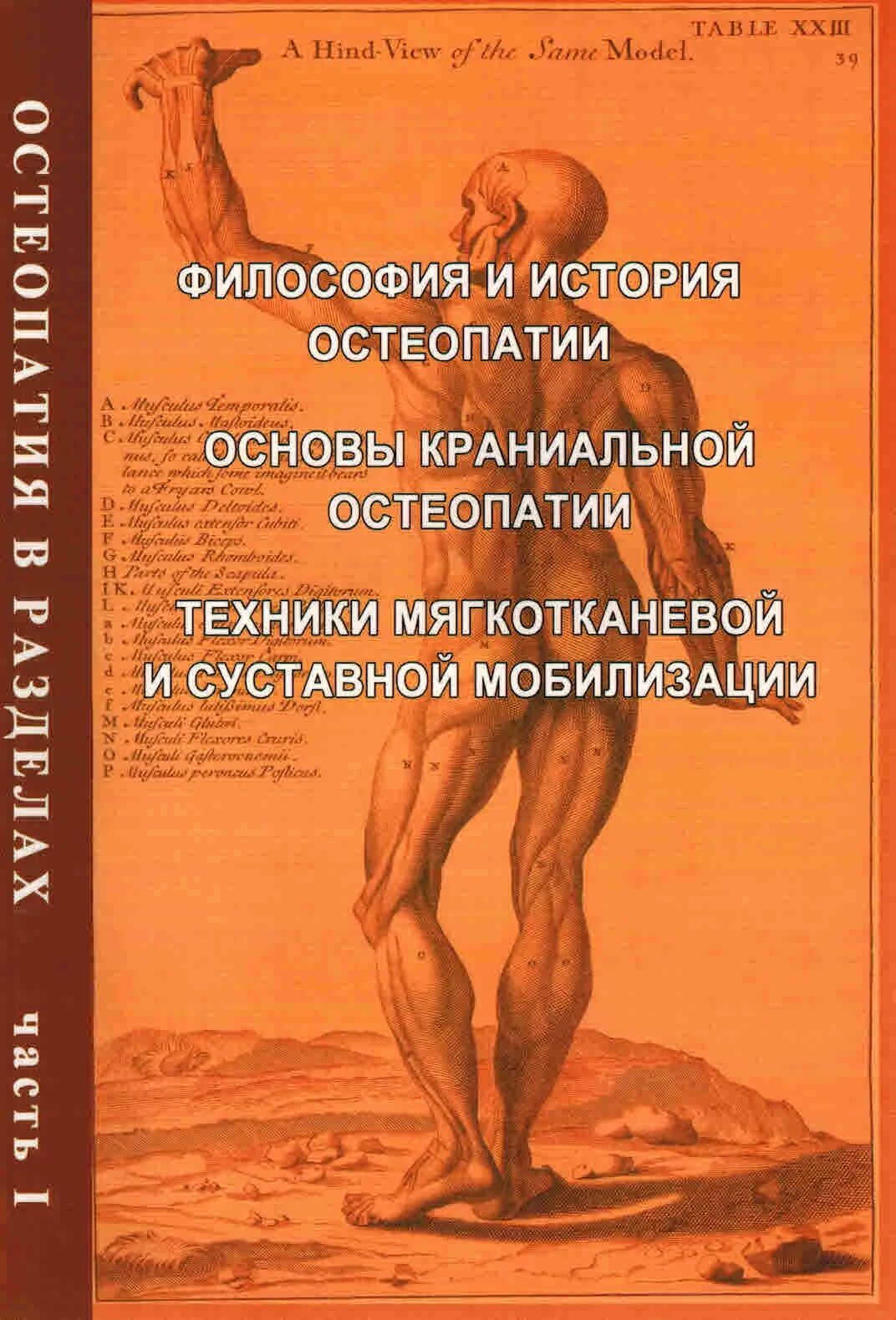 Мануальная терапия. Егорова остеопатия книги. Остеопатия егоров краниальная. Массаж спины. Стопатия.