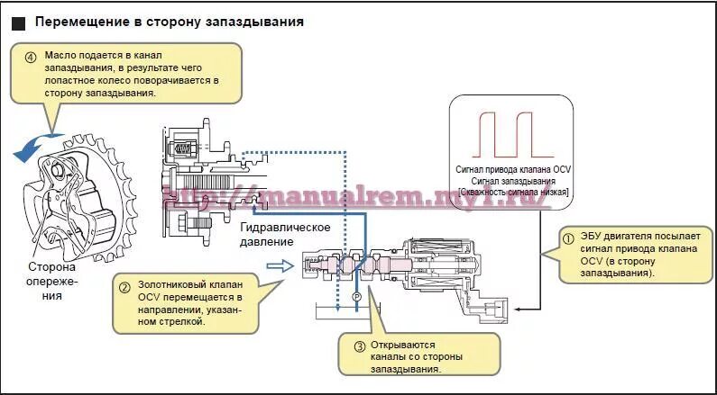 структура микросхемы статической памяти. контроллер клапана. сетка клапана фазорегулятора лансер 10 1. управляющий сигнал клапана. клапан фазорегулятора рено меган 2 фишка распиновка.