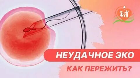 Беременность после неудачного эко форум