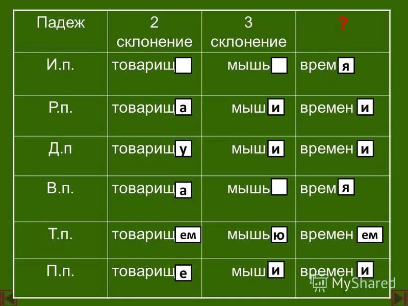 Склонение существительного мышь