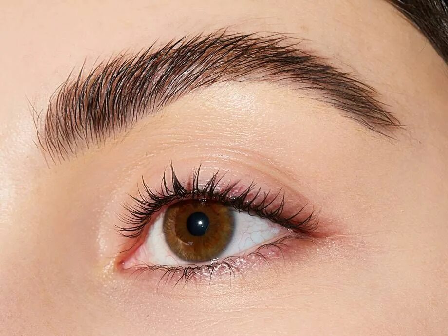 Natural brows. Ламинирование бровей. Брови натуральный эффект. Дизайн бровей натуральный. Естественный рост бровей.