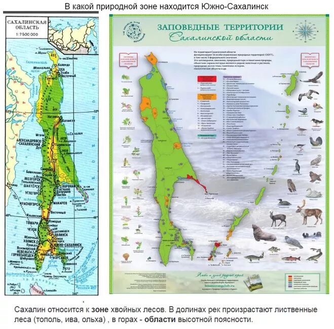 Сахалин относится к. Карта остров Сахалин полезные ископаемые. Природные зоны Сахалинской области карта. Природные зоны острова Сахалин.