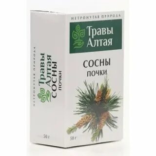 Сосновые почки инструкция