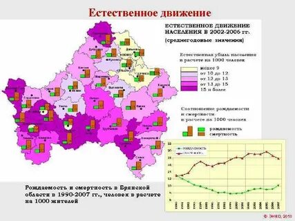 Брянская область население
