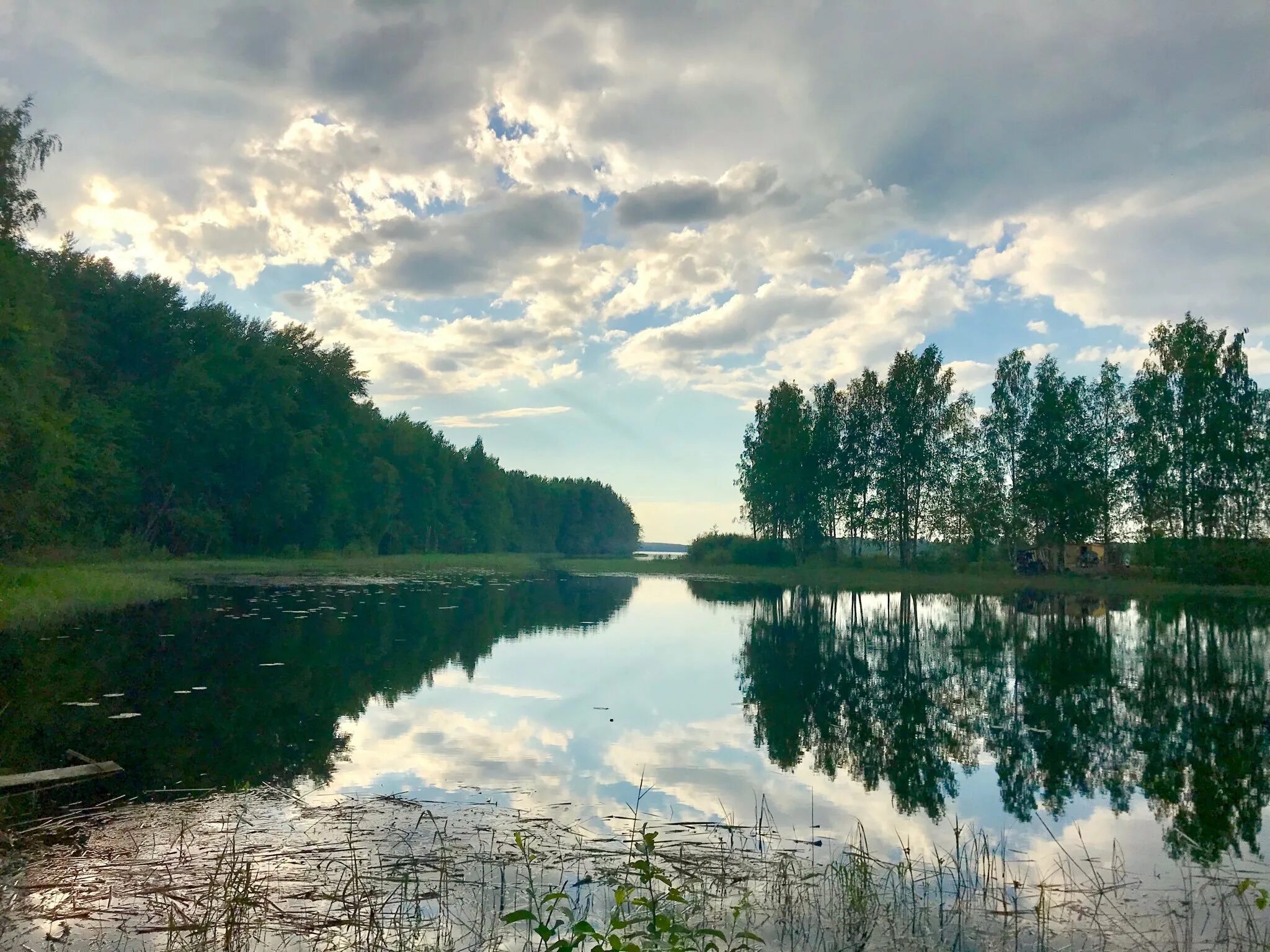 Рощинское озеро ленинградская область. Озеро синее Карельский перешеек. Чёрное озеро Щелковский район. Голубое озеро Щелково.