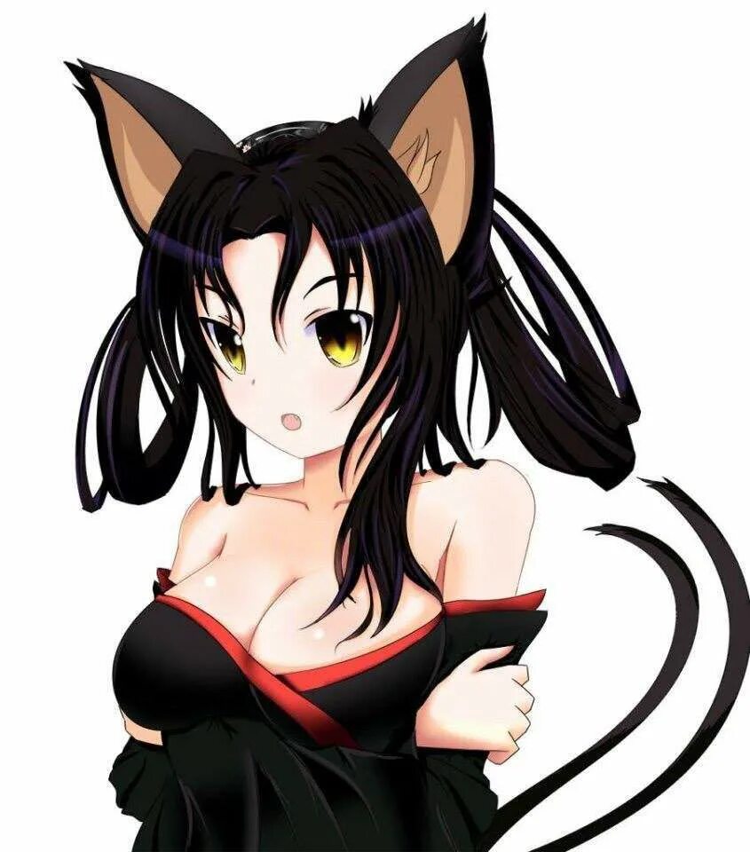 Аниме девушка с черными волосами. Аниме девочка кошка. Аниме котята девочки. Аниме кошки. Неко элизабет.