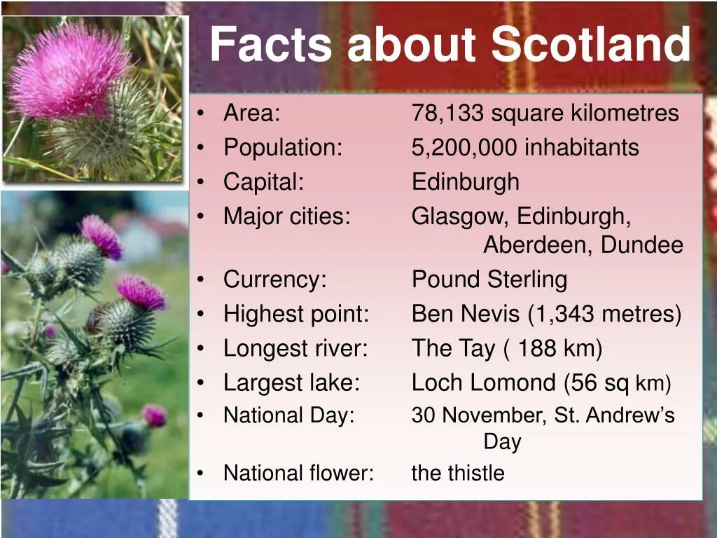 Great britain facts. Facts about Scotland. Interesting facts about Scotland. Scotland information презентация. Презентация про Шотландию на английском языке.