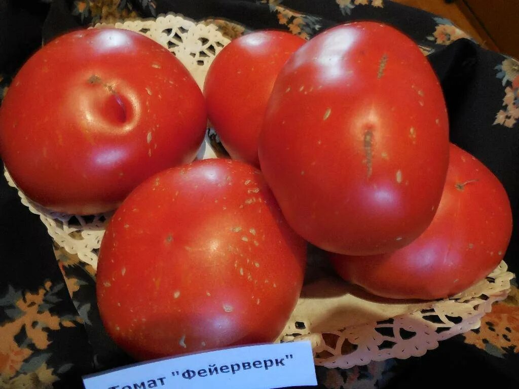 Семена томат медовый салют. Томат салют характеристика. Томат салют характеристика. Томат медовый салют вкуснотека. Томат медовый салют.
